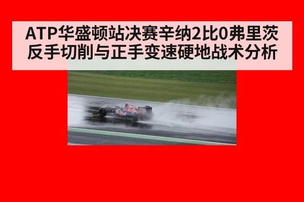 ATP华盛顿站决赛辛纳2比0弗里茨反手切削与正手变速硬地战术分析
