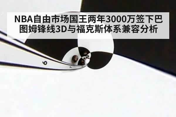 NBA自由市场国王两年3000万签下巴图姆锋线3D与福克斯体系兼容分析