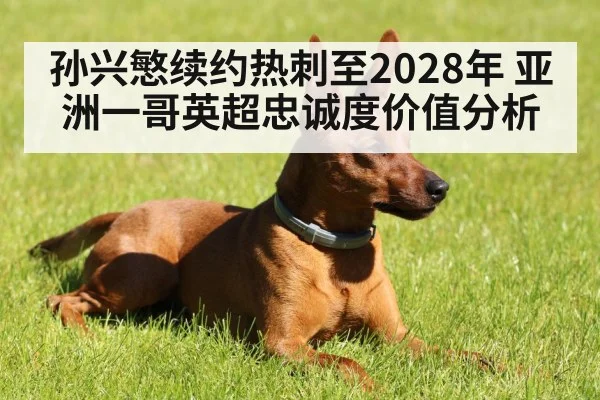 孙兴慜续约热刺至2028年 亚洲一哥英超忠诚度价值分析